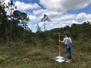 Imagem ilustrativa de Desmembramento de terreno rural