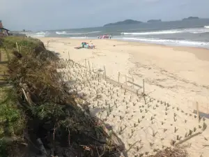 Imagem ilustrativa de Laudo ambiental e plano de recuperação de áreas degradadas